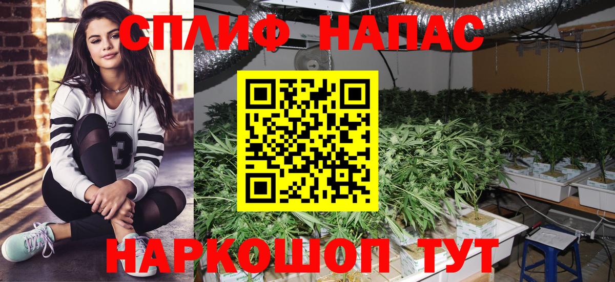 Бошки Шишки тримм  МАРИХУАНА White Widow  Сатка  Вход с VPN 